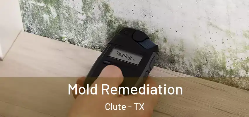 Mold Remediation Clute - TX