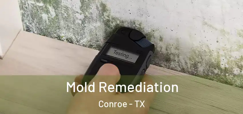 Mold Remediation Conroe - TX