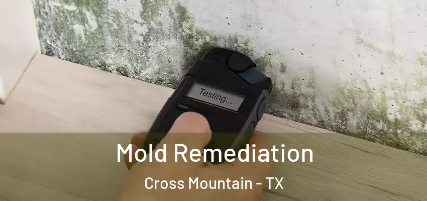  Mold Remediation Cross Mountain - TX