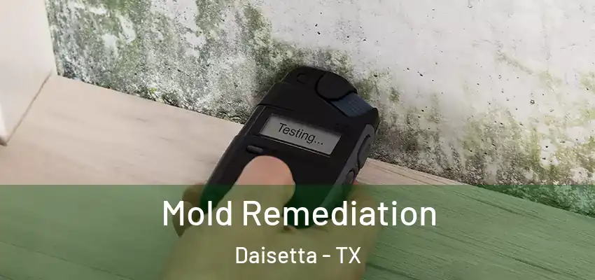  Mold Remediation Daisetta - TX