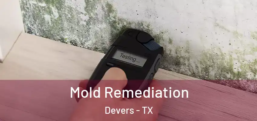  Mold Remediation Devers - TX