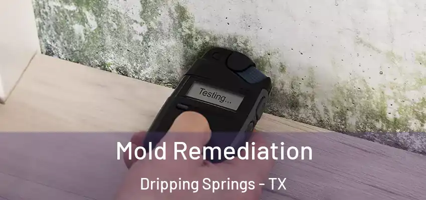 Mold Remediation Dripping Springs - TX