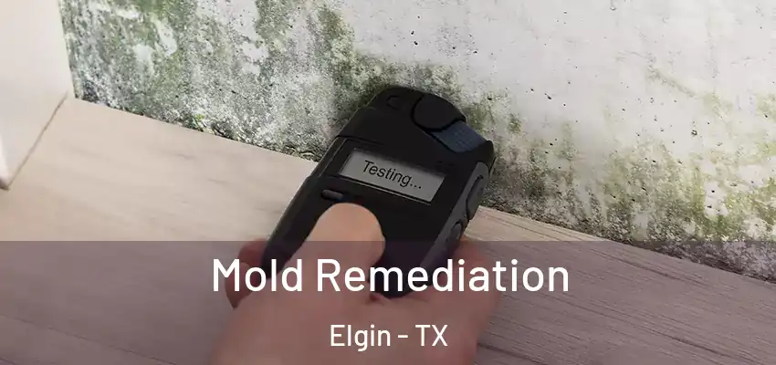  Mold Remediation Elgin - TX