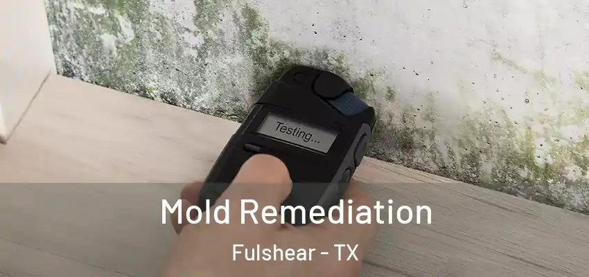 Mold Remediation Fulshear - TX
