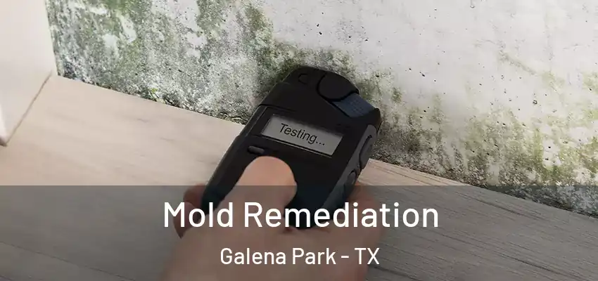  Mold Remediation Galena Park - TX