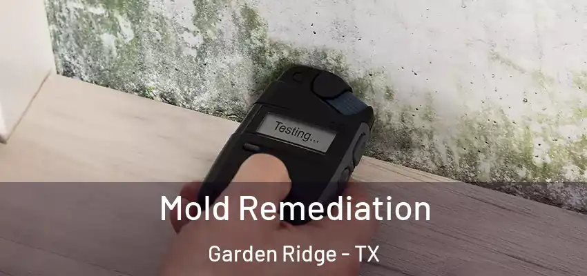  Mold Remediation Garden Ridge - TX