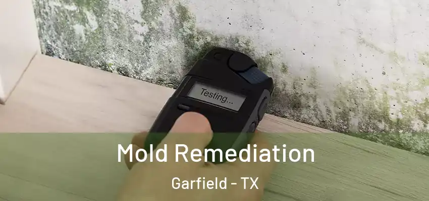 Mold Remediation Garfield - TX