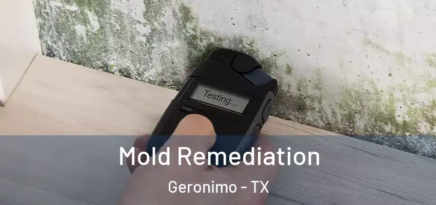  Mold Remediation Geronimo - TX