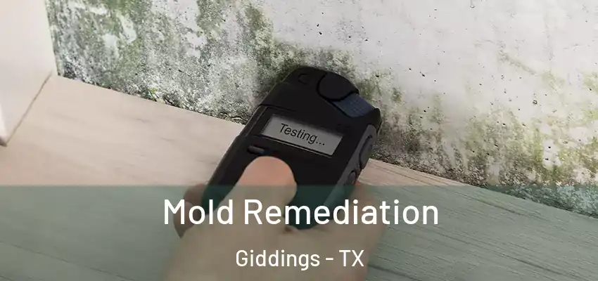  Mold Remediation Giddings - TX