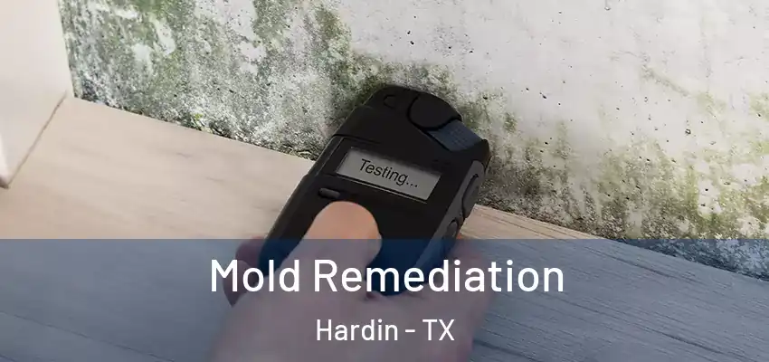  Mold Remediation Hardin - TX