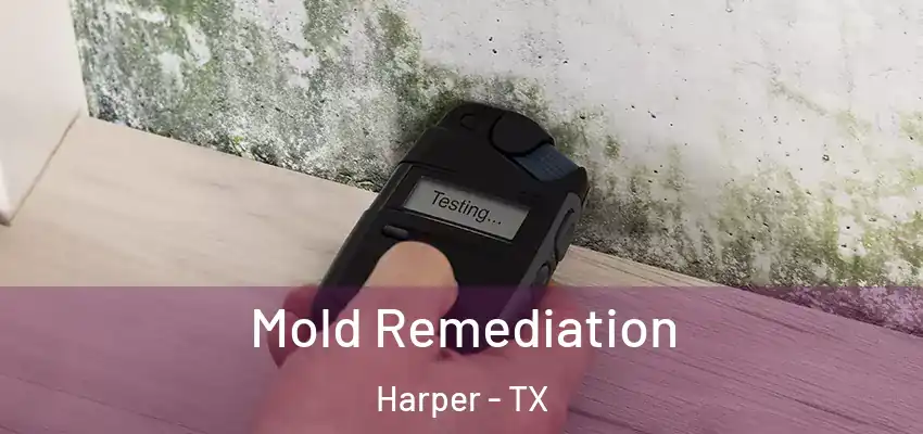  Mold Remediation Harper - TX