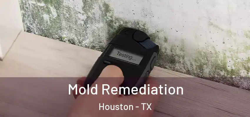  Mold Remediation Houston - TX