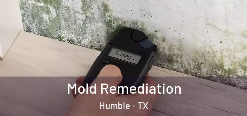Mold Remediation Humble - TX