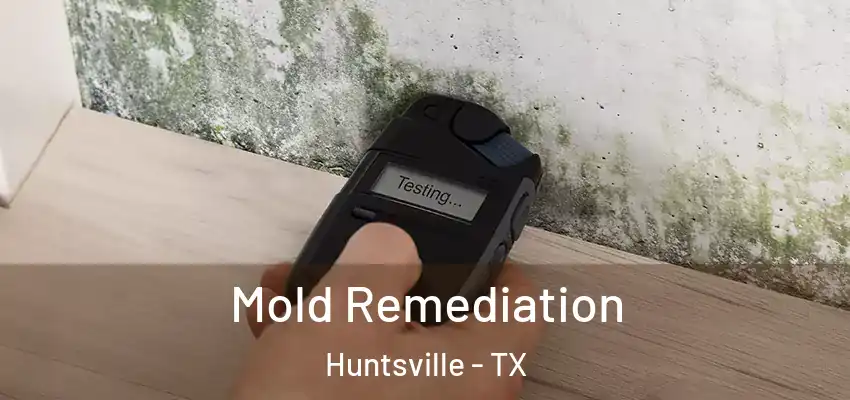 Mold Remediation Huntsville - TX