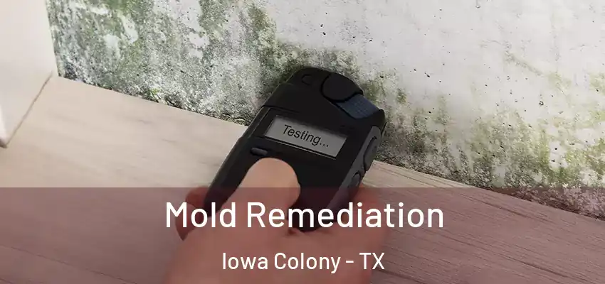 Mold Remediation Iowa Colony - TX
