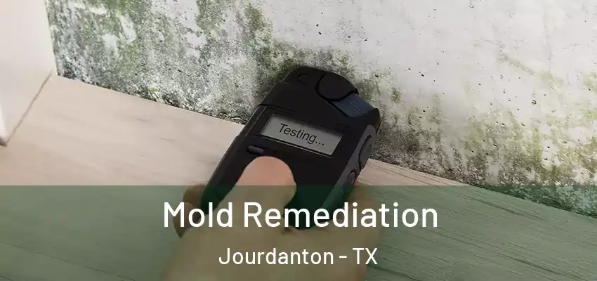  Mold Remediation Jourdanton - TX