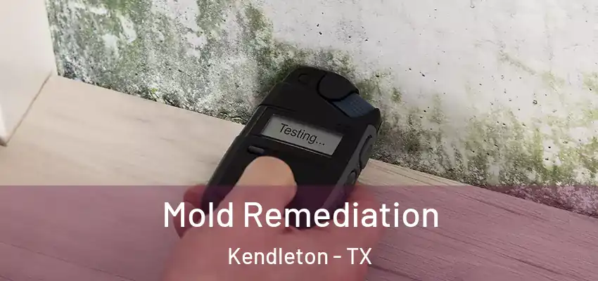 Mold Remediation Kendleton - TX