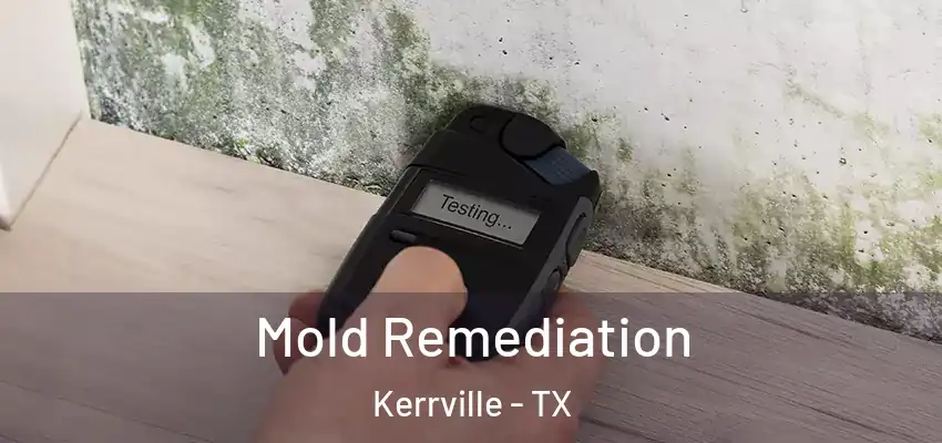 Mold Remediation Kerrville - TX