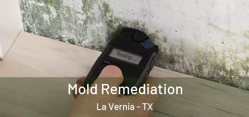 Mold Remediation La Vernia - TX