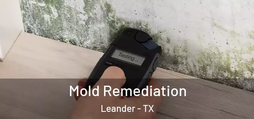  Mold Remediation Leander - TX
