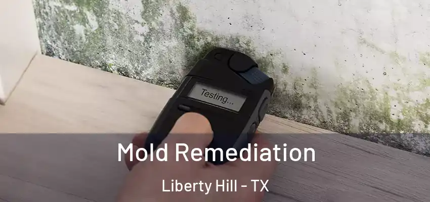  Mold Remediation Liberty Hill - TX