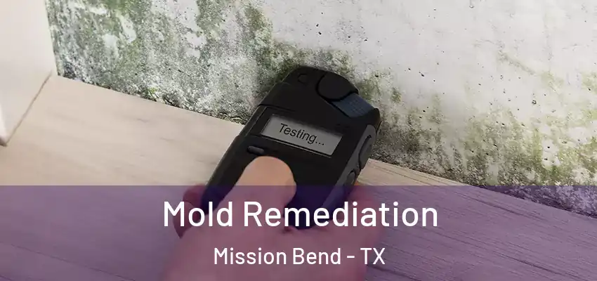  Mold Remediation Mission Bend - TX