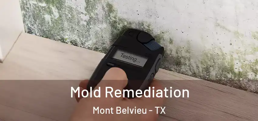 Mold Remediation Mont Belvieu - TX