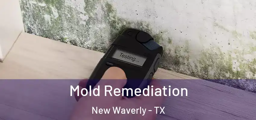 Mold Remediation New Waverly - TX