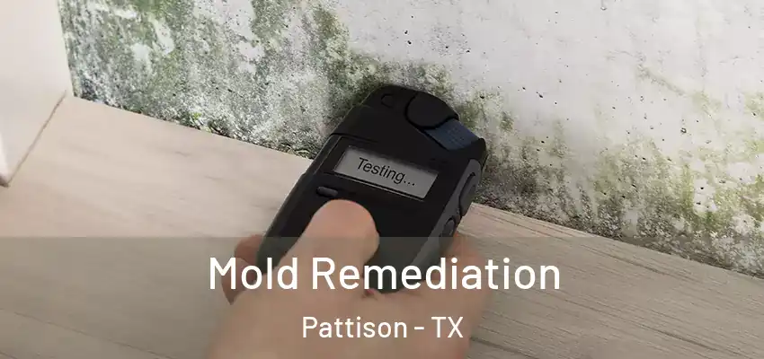  Mold Remediation Pattison - TX