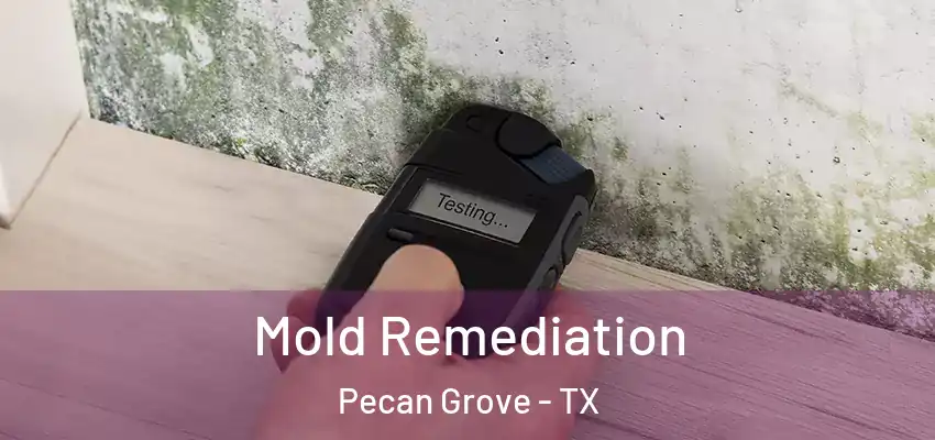  Mold Remediation Pecan Grove - TX