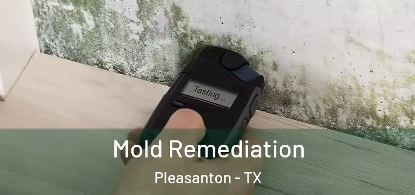  Mold Remediation Pleasanton - TX