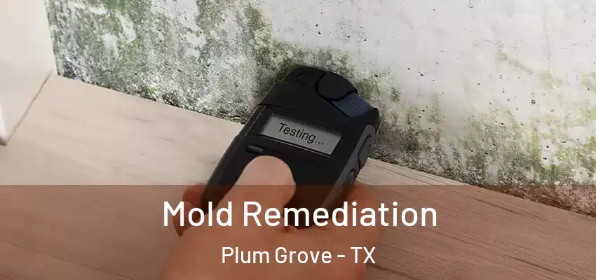 Mold Remediation Plum Grove - TX