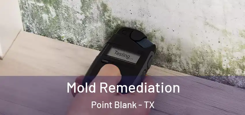  Mold Remediation Point Blank - TX