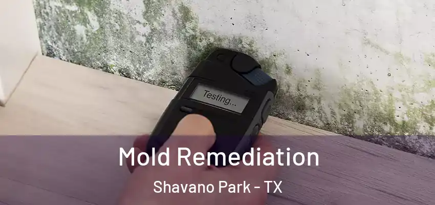 Mold Remediation Shavano Park - TX