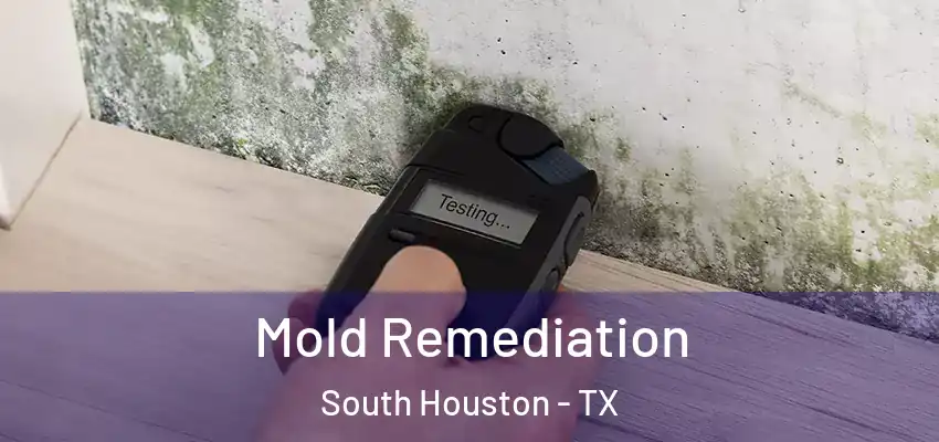 Mold Remediation South Houston - TX