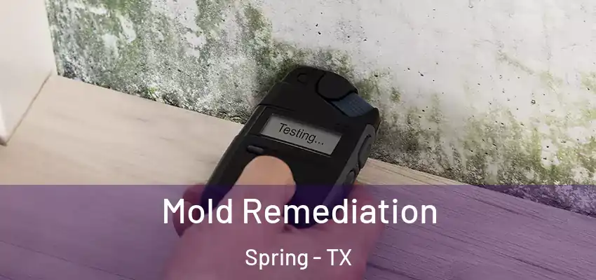  Mold Remediation Spring - TX
