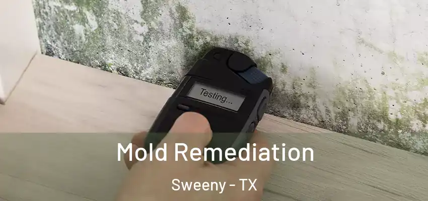  Mold Remediation Sweeny - TX