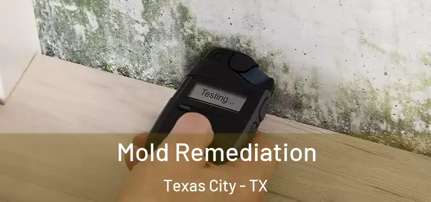  Mold Remediation Texas City - TX