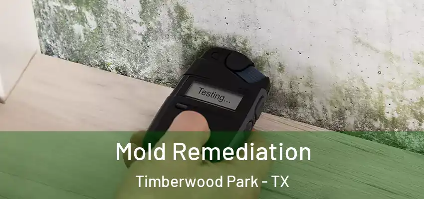 Mold Remediation Timberwood Park - TX