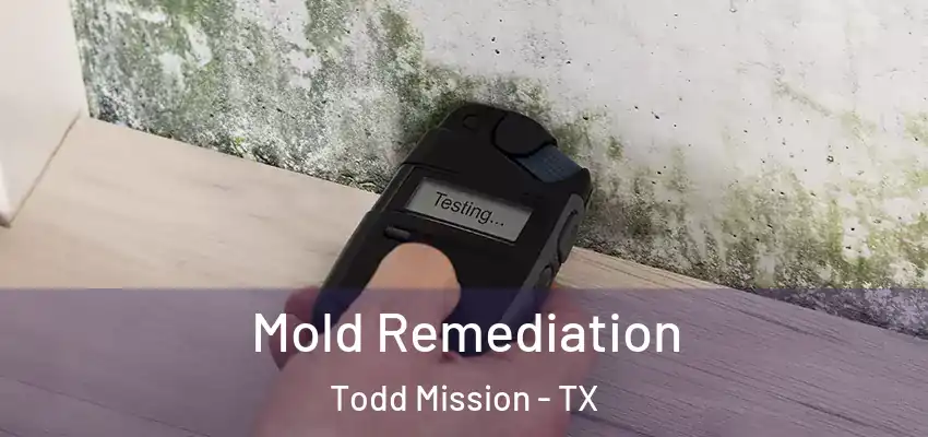  Mold Remediation Todd Mission - TX