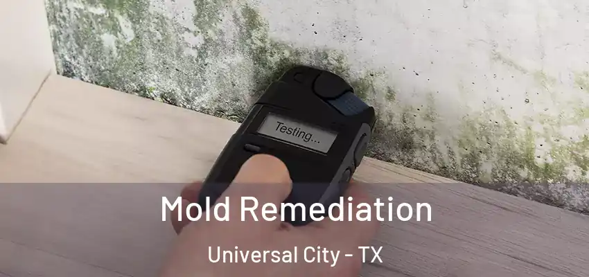  Mold Remediation Universal City - TX