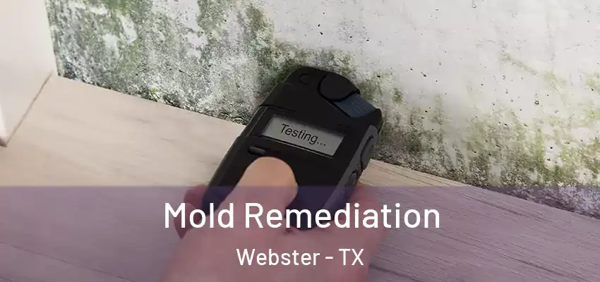  Mold Remediation Webster - TX