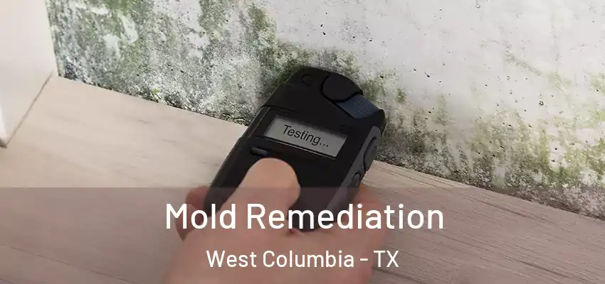  Mold Remediation West Columbia - TX