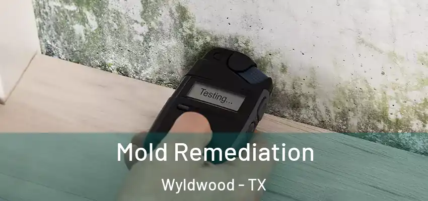 Mold Remediation Wyldwood - TX