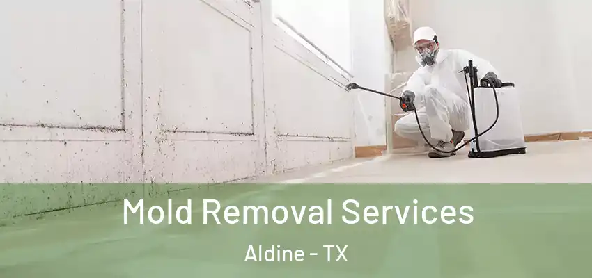 Mold Removal Services Aldine - TX
