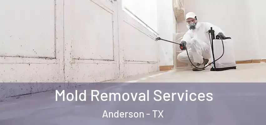  Mold Removal Services Anderson - TX