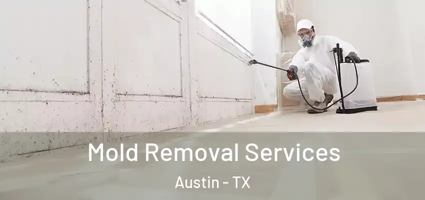 Mold Removal Services Austin - TX