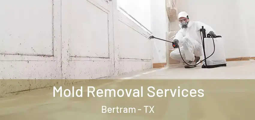 Mold Removal Services Bertram - TX