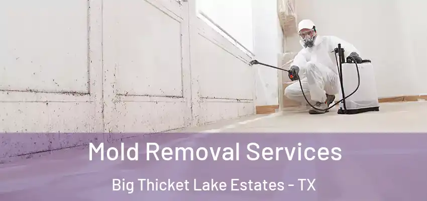 Mold Removal Services Big Thicket Lake Estates - TX