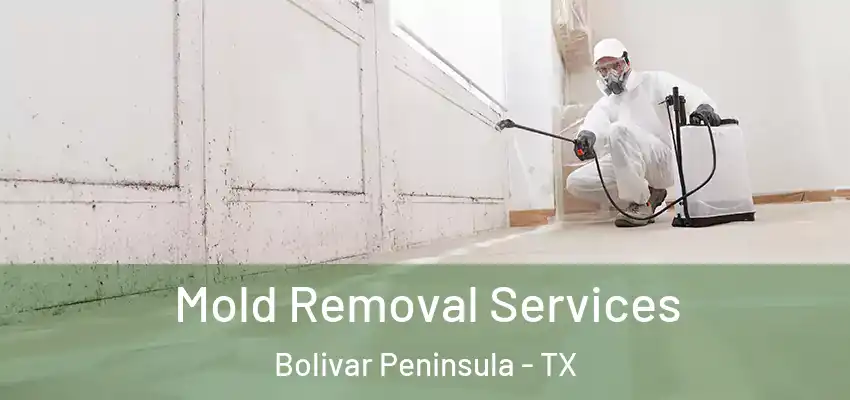  Mold Removal Services Bolivar Peninsula - TX